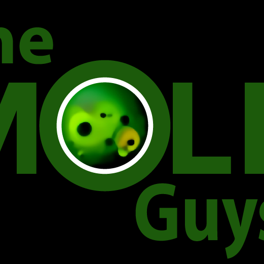 The Mold Guys