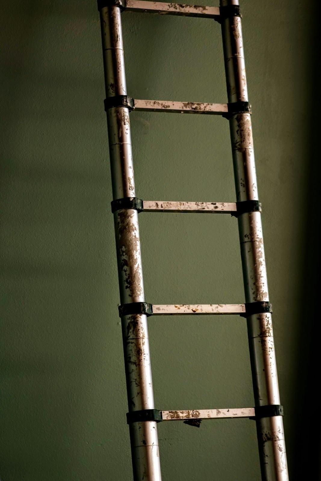 Different types of ladders displayed for sale