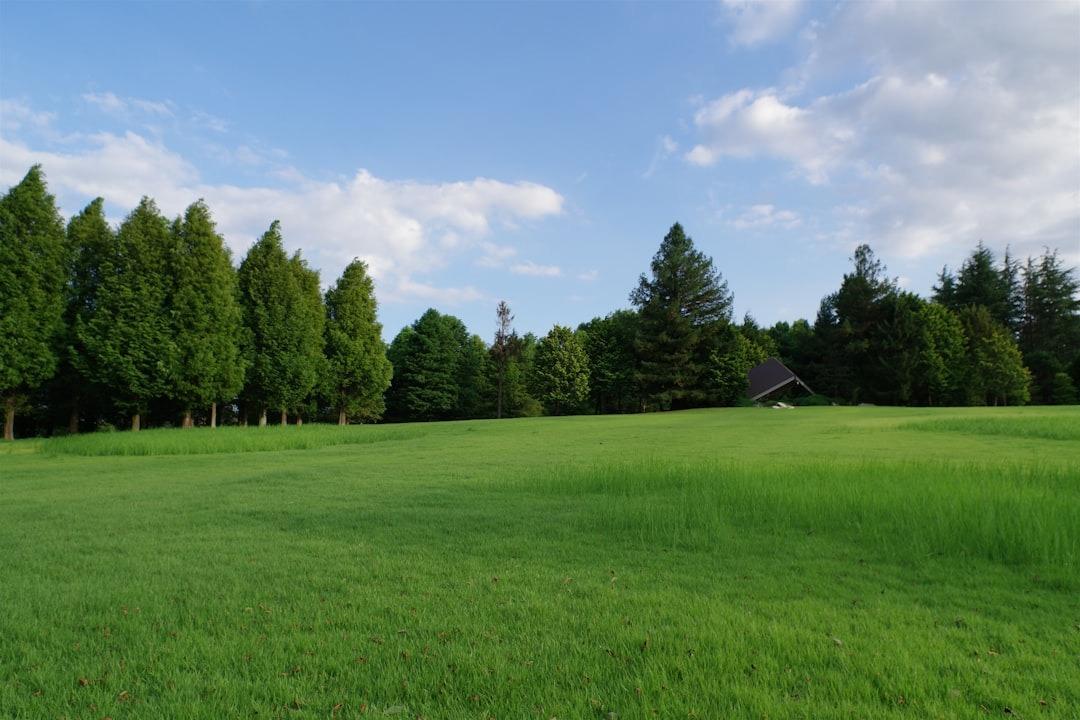 Beautifully maintained commercial property landscape