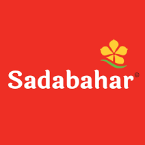 Sadabahar Oil
